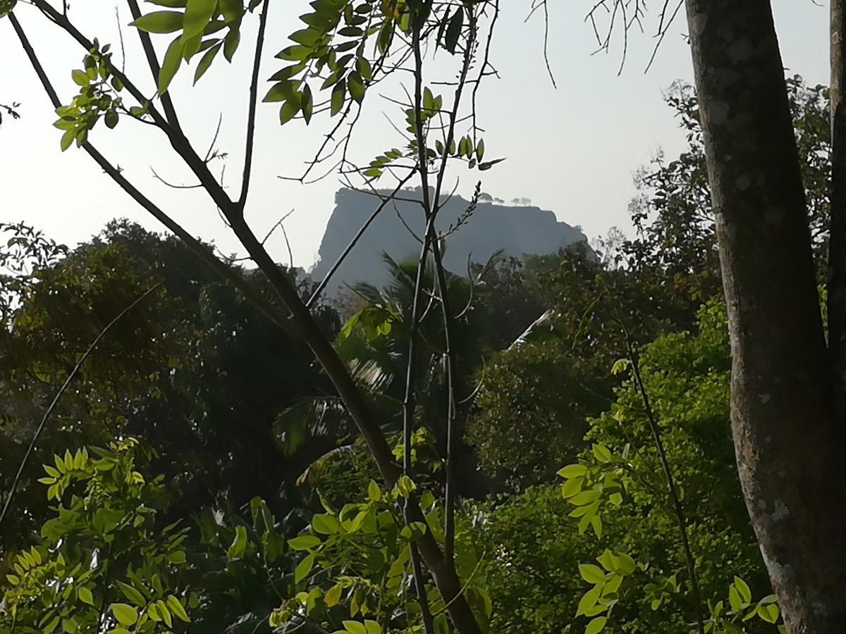 Sigiri Dilu Villa Σιγκιρίγια Εξωτερικό φωτογραφία